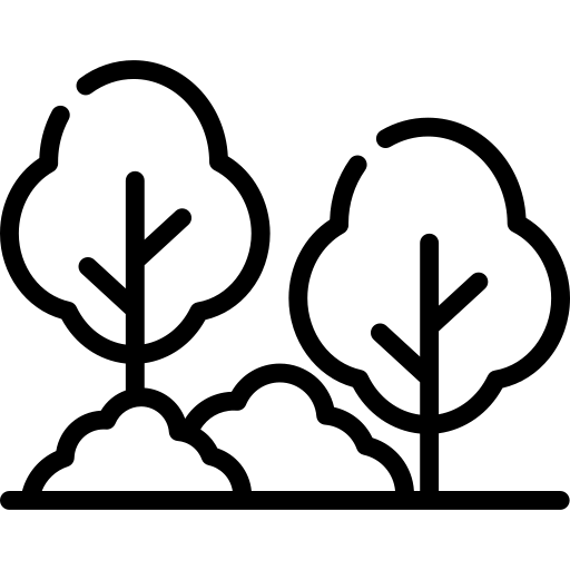 services-1