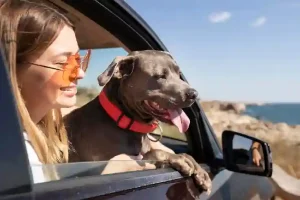 Travelling with Pets: Your Coastal Checklist